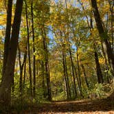 Review photo of Thomas Woods Campground by Matt K., October 24, 2021