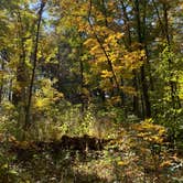 Review photo of Thomas Woods Campground by Matt K., October 24, 2021