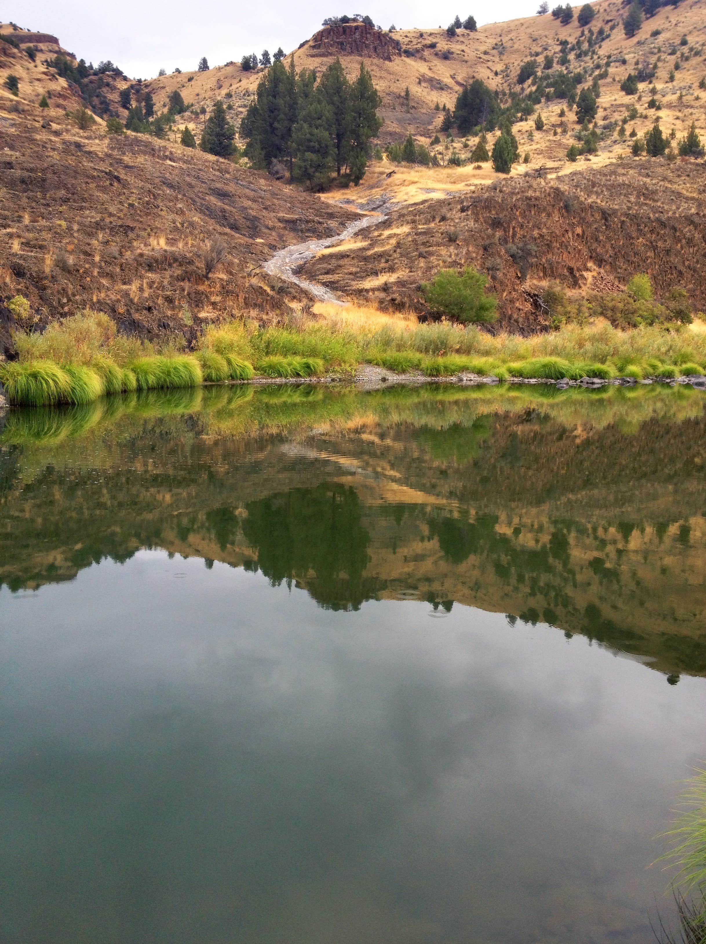 Camper submitted image from Service Creek Campground - 3