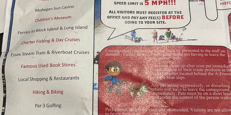 Camper submitted image from Niantic KOA