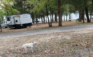 Don N.'s photo of rv camping at Saline County State Conservation Area near Maunie, IL