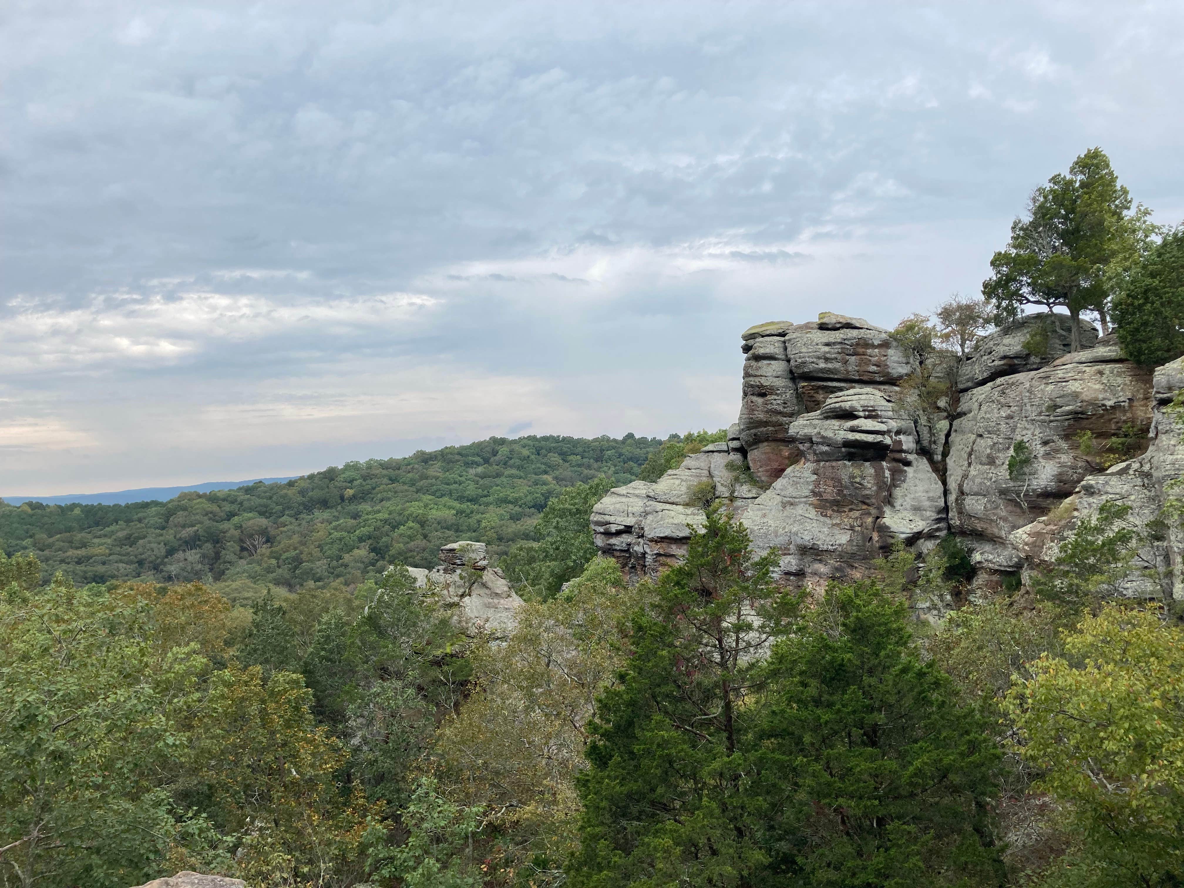 Escape to the Wilderness: Your Guide to Illinois Saline County State Conservation Area