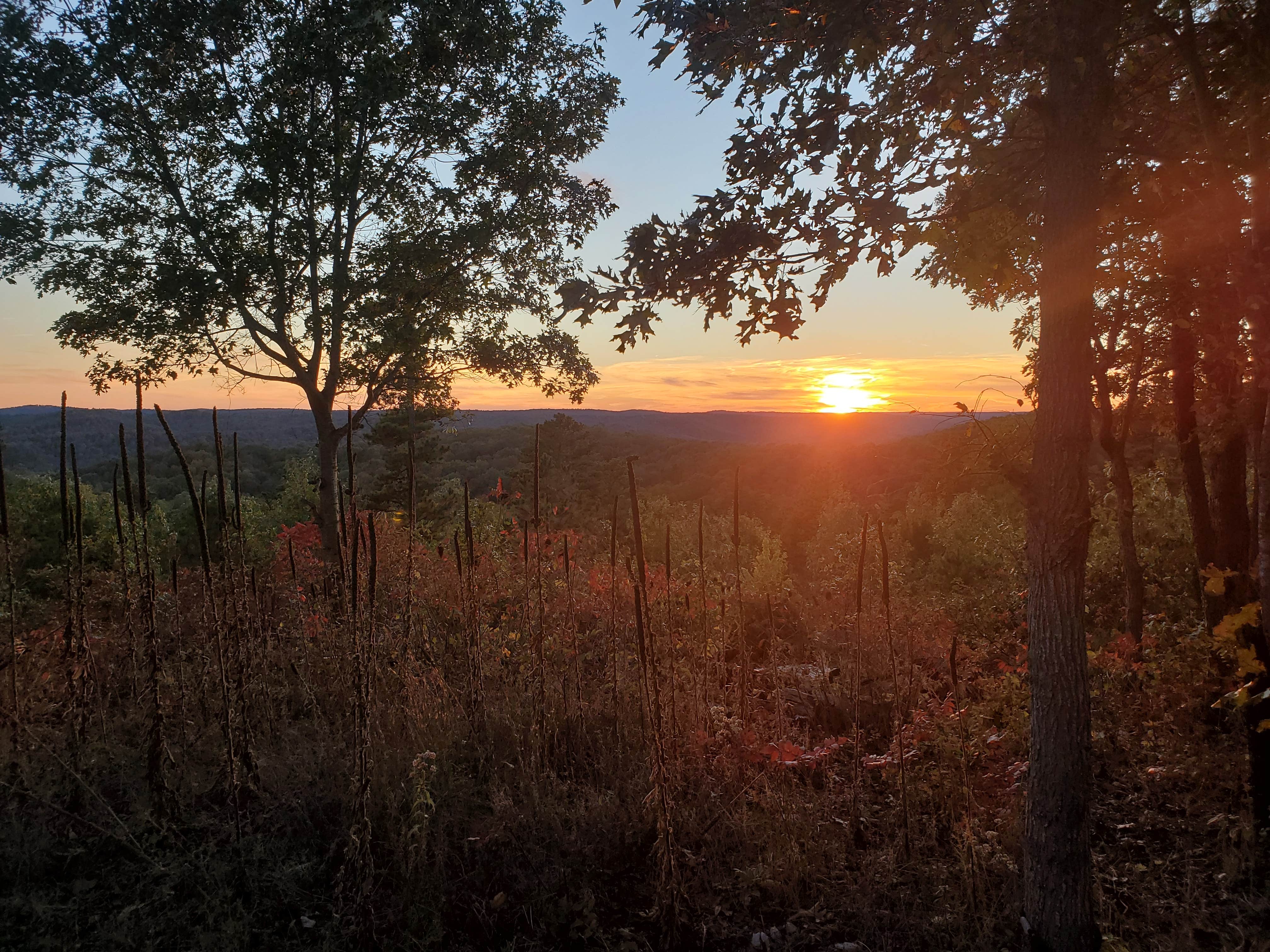 jeff F.'s photo of a dispersed camping area at FS-2363 Dispersed Camping - Murphy Overlook near Bunker, MO