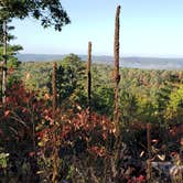 Review photo of FS-2363 Dispersed Camping - Murphy Overlook by jeff F., October 24, 2021