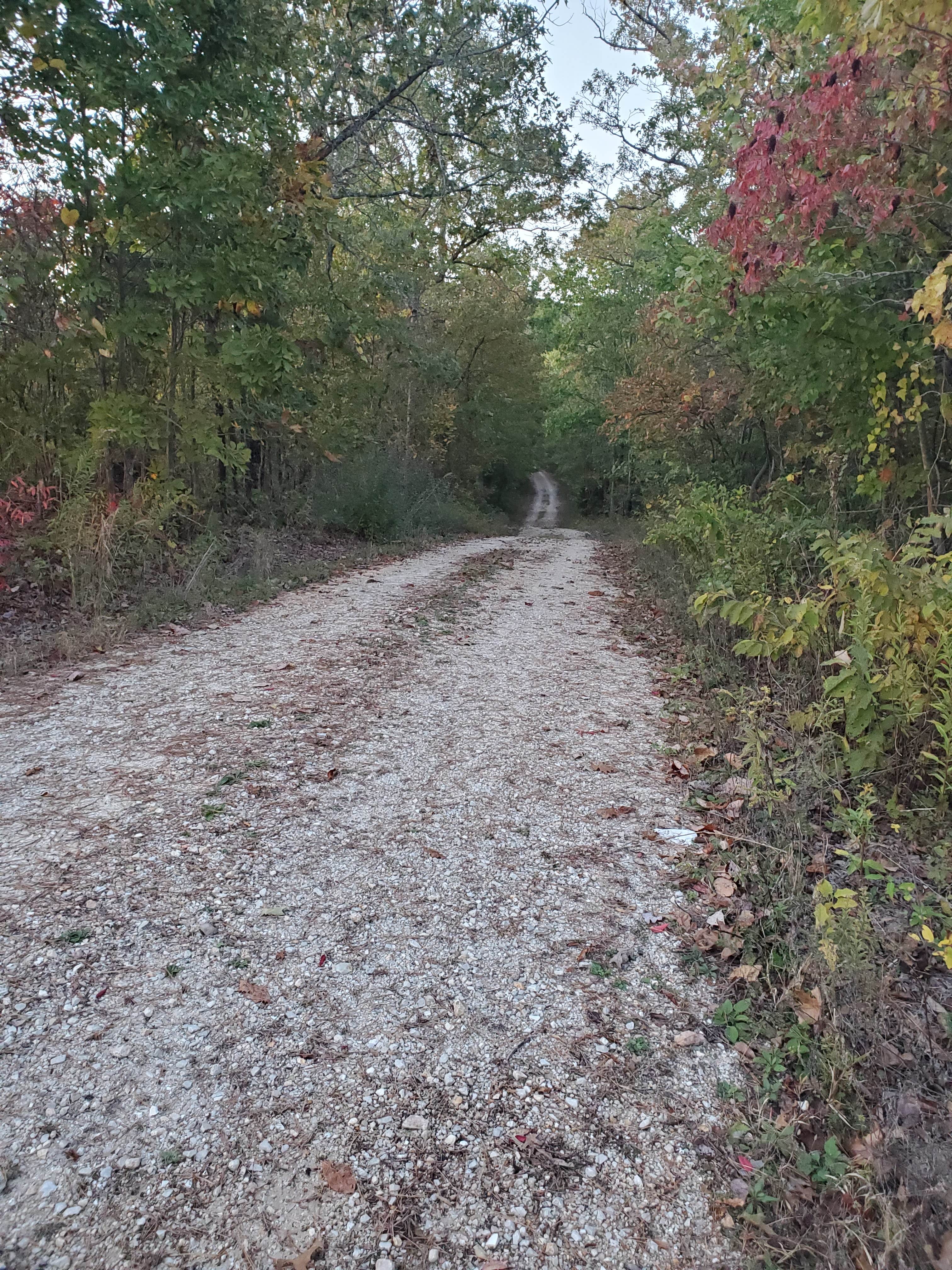 jeff F.'s photo of camping with pets at FS-2363 Dispersed Camping - Murphy Overlook near Park Hills, MO