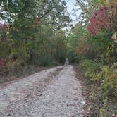 Review photo of FS-2363 Dispersed Camping - Murphy Overlook by jeff F., October 24, 2021