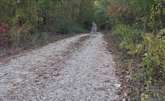 jeff F.'s photo of camping with pets at FS-2363 Dispersed Camping - Murphy Overlook near Park Hills, MO