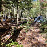Review photo of Cataloochee Campground — Great Smoky Mountains National Park by donna H., October 24, 2021