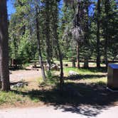 Review photo of Mazama Village Campground — Crater Lake National Park by Celina M., June 28, 2018
