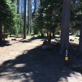 Review photo of Mazama Village Campground — Crater Lake National Park by Celina M., June 28, 2018