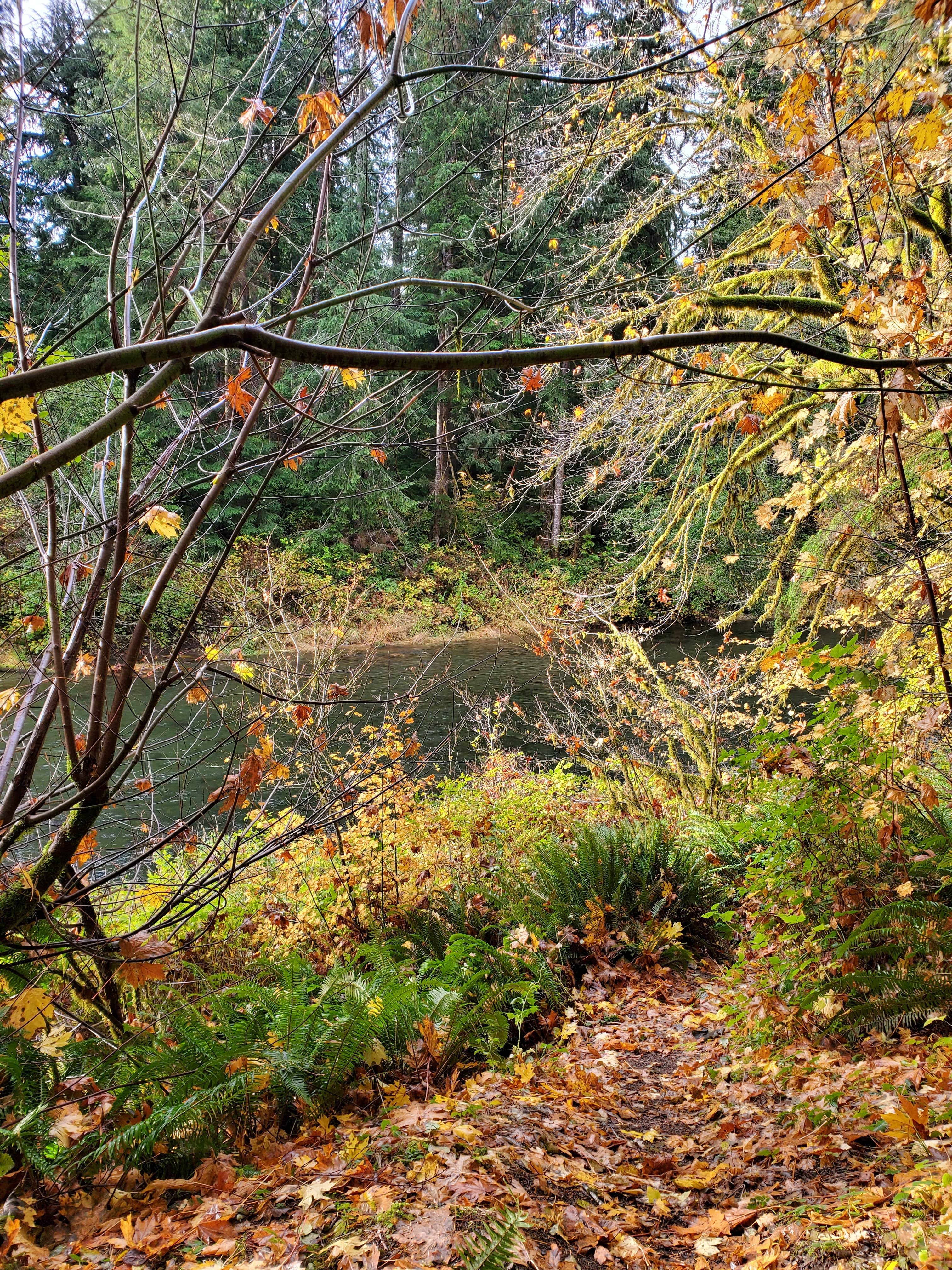 Camper submitted image from Bear Creek - State Forest - 2