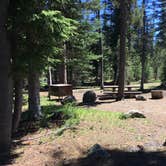 Review photo of Mazama Village Campground — Crater Lake National Park by Celina M., June 28, 2018