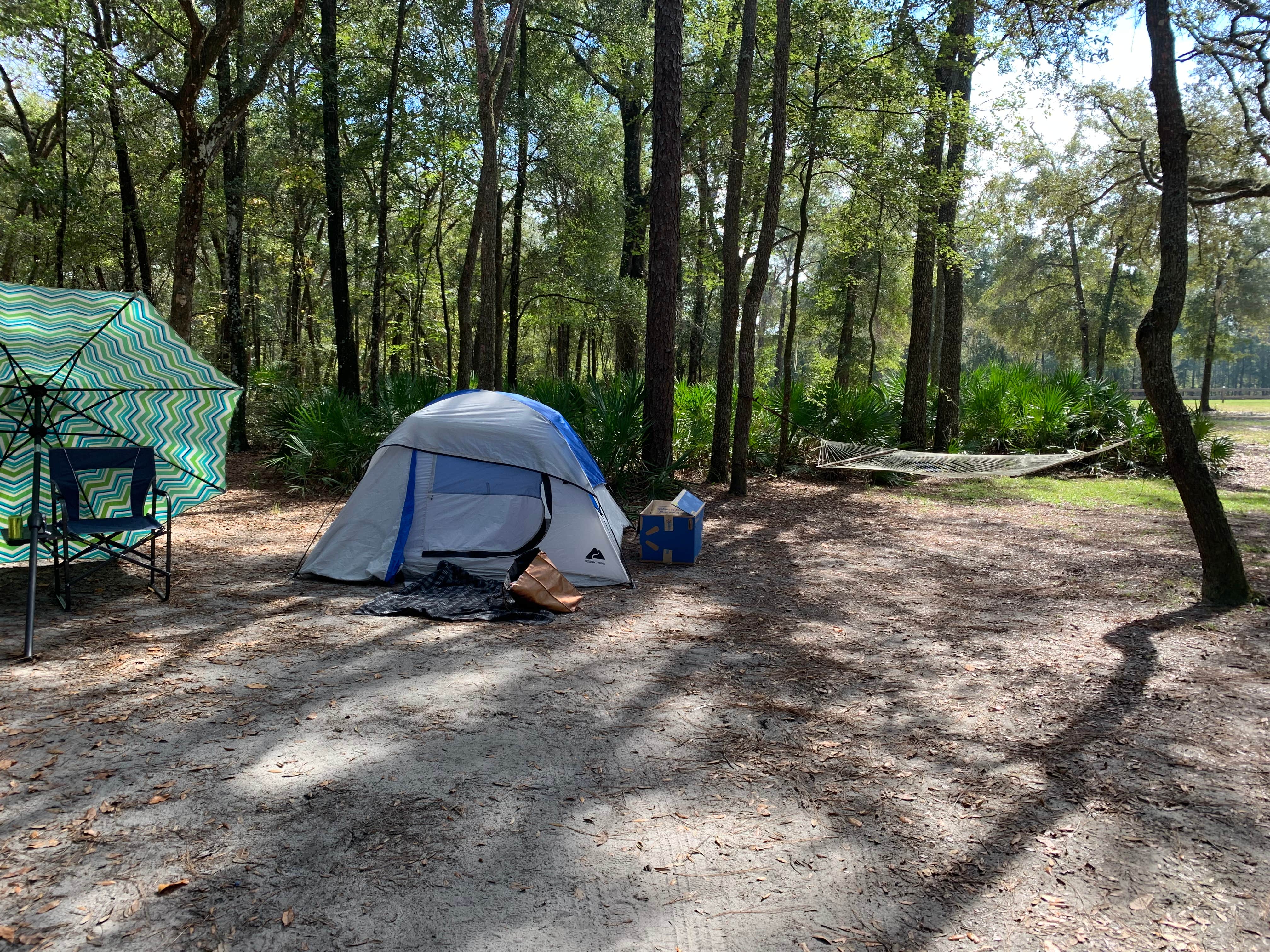 Lindsey H.'s photo at Gilchrist Blue Springs State Park Campground near Lake Butler, FL