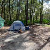 Review photo of Gilchrist Blue Springs State Park Campground by Lindsey H., October 24, 2021
