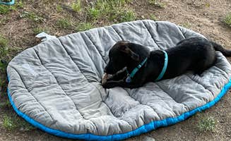 Lara K.'s photo of camping with pets at Ellensburg KOA near Yakima, WA