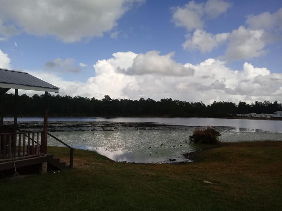 Camper submitted image from Lakeview RV Resort - 1