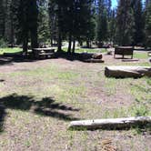 Review photo of Mazama Village Campground — Crater Lake National Park by Celina M., June 28, 2018