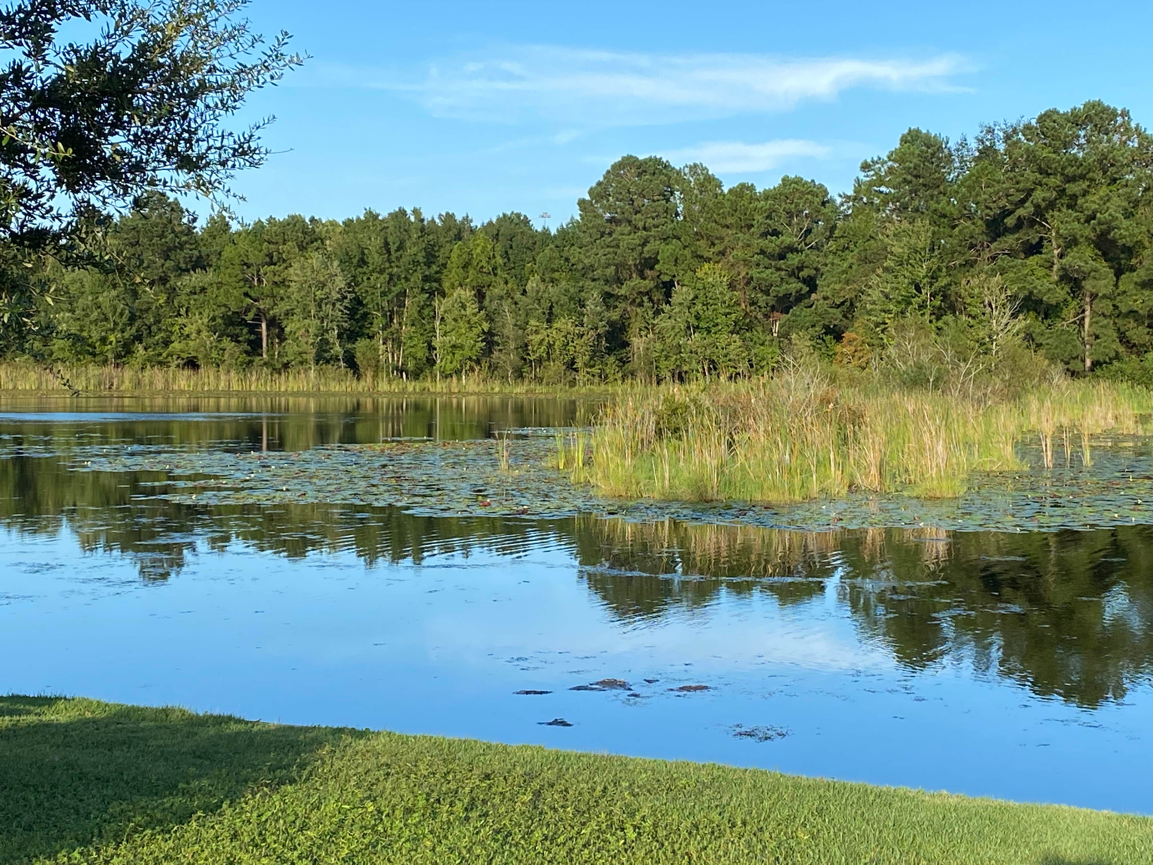 Camper submitted image from Lakeview RV Resort - 4