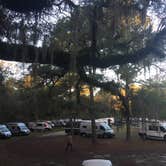 Review photo of Ocala National Forest River Forest Group Camp by viv S., October 24, 2021