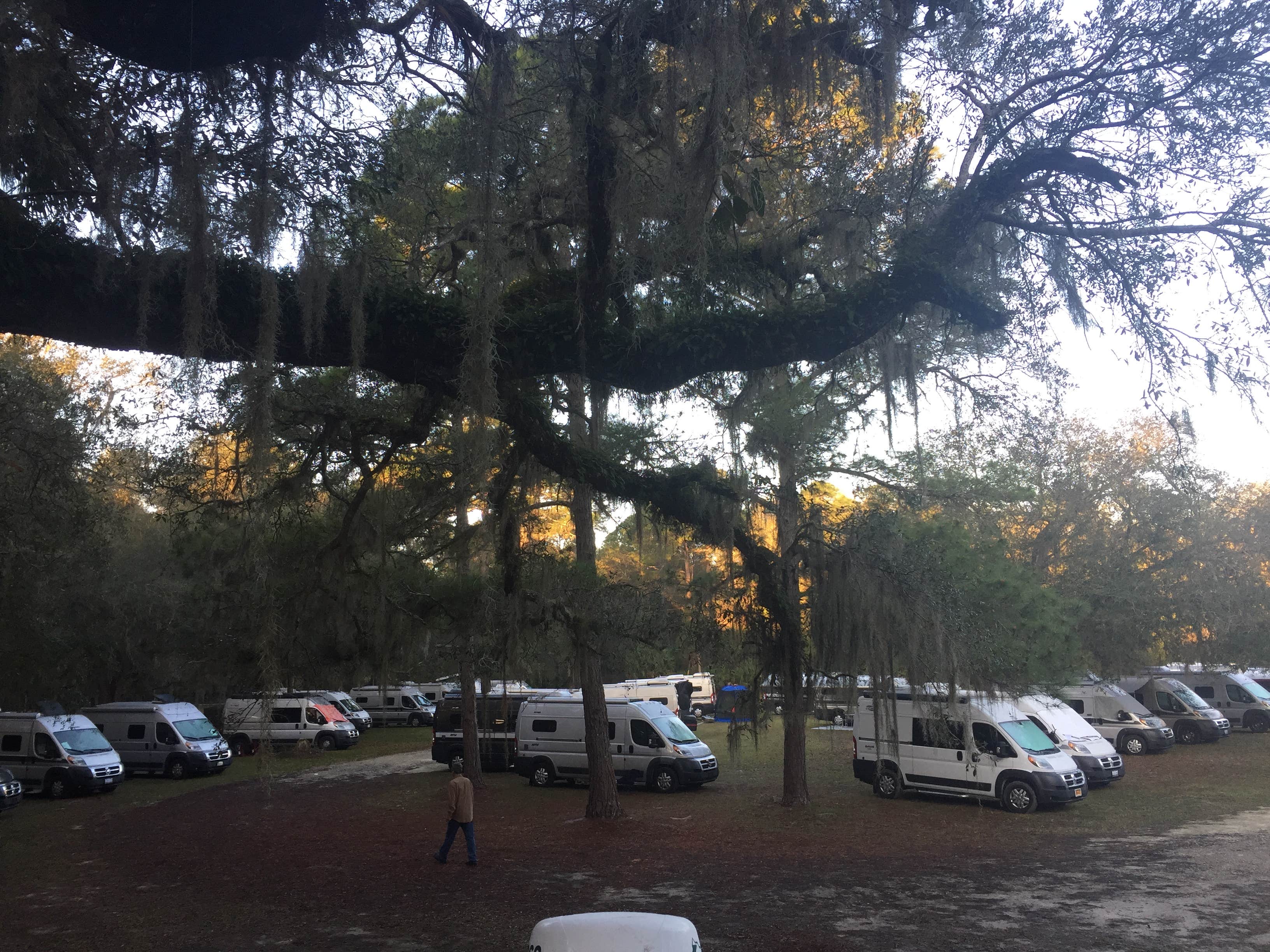 Camper submitted image from Ocala National Forest River Forest Group Camp - 2