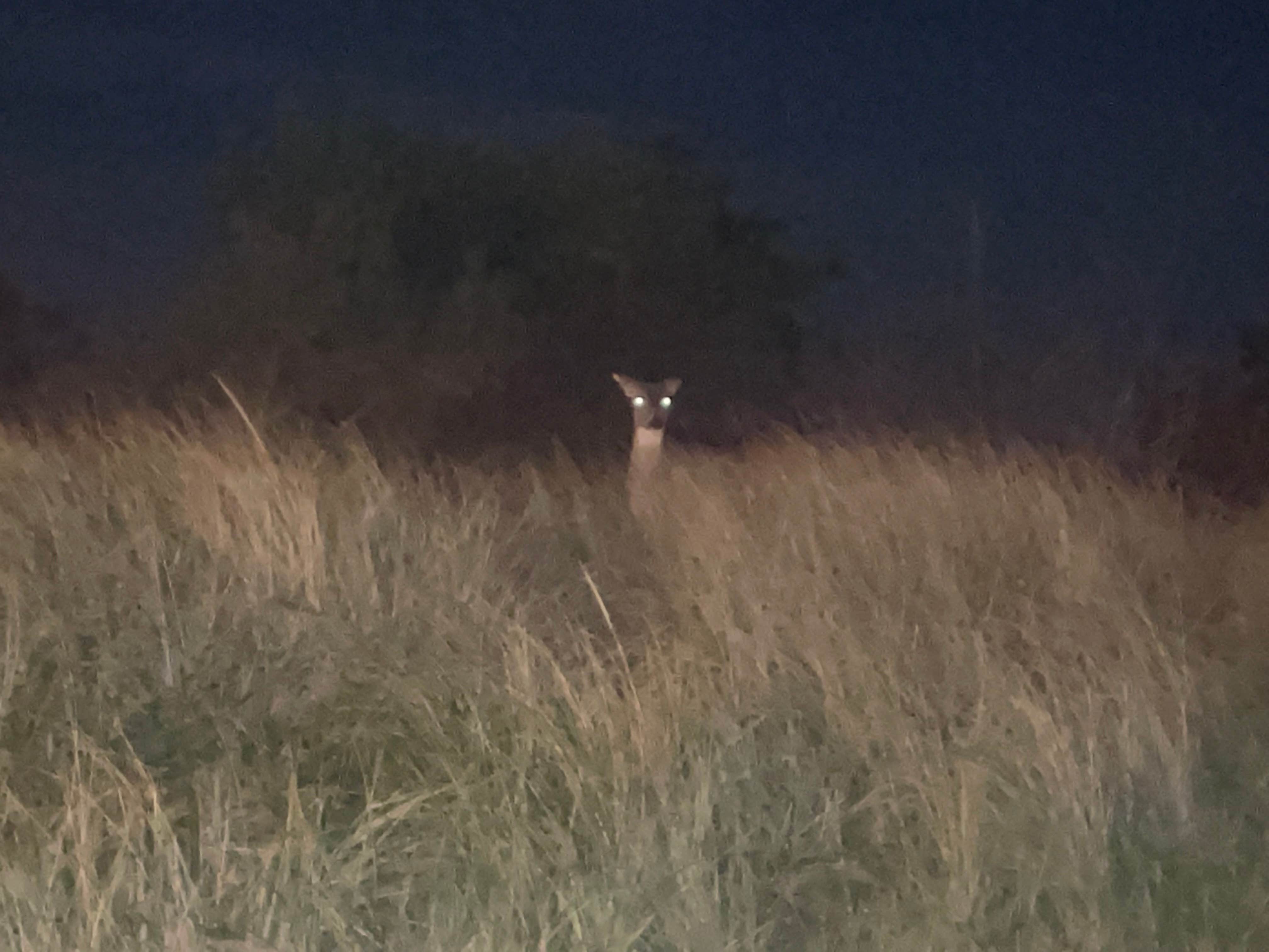 Camper-submitted photo at Smith's Point near Westhampton Beach, NY