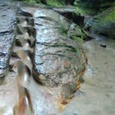 Review photo of Turkey Run State Park Campground by Mike V., July 23, 2016