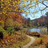 Review photo of Julian Price Park Campground — Blue Ridge Parkway by Katrin M., October 24, 2021