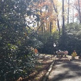 Review photo of Julian Price Park Campground — Blue Ridge Parkway by Katrin M., October 24, 2021
