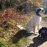 Review photo of Julian Price Park Campground — Blue Ridge Parkway by Katrin M., October 24, 2021