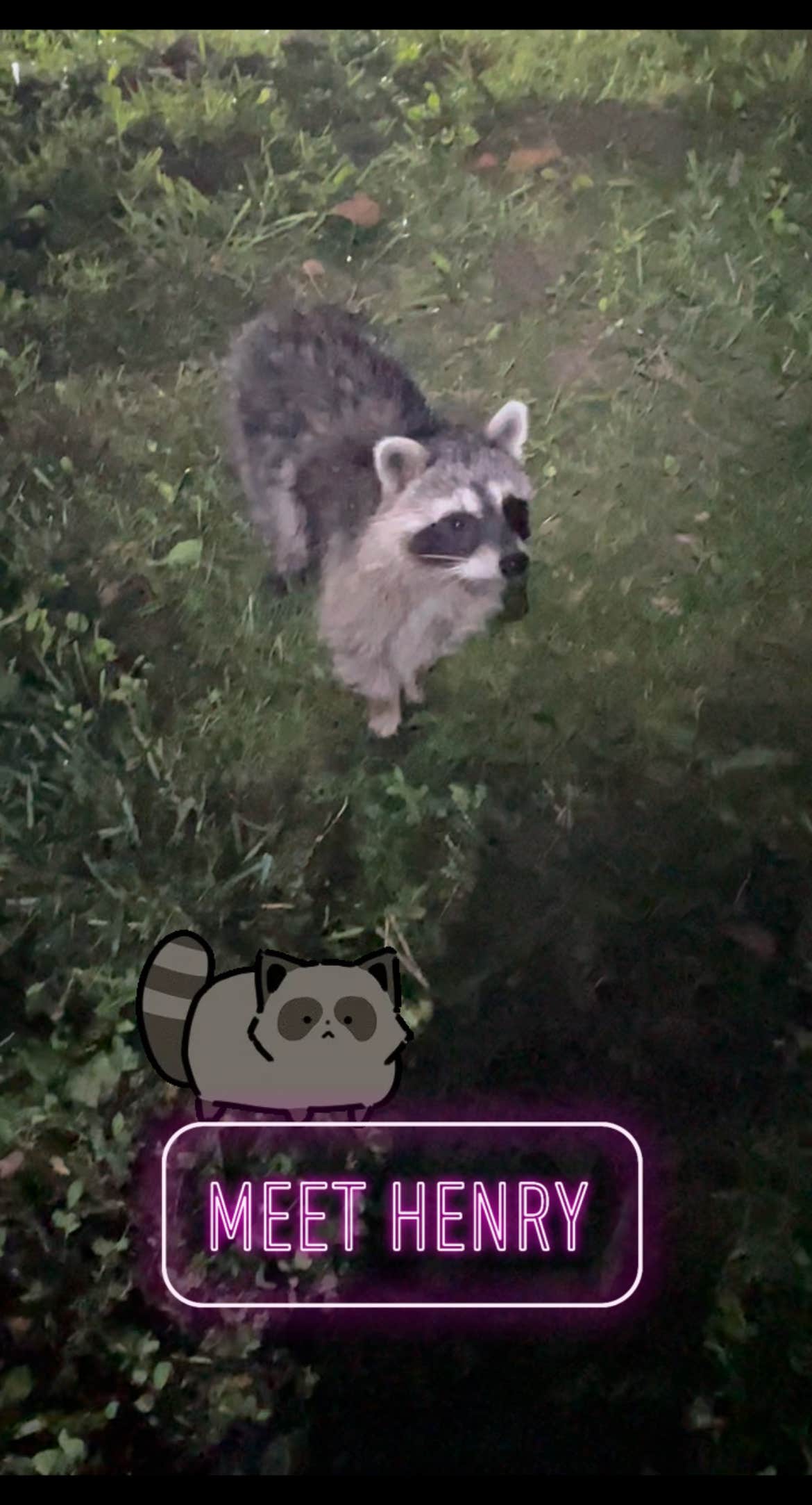 Lerin P.'s photo of camping with pets at White River Campground near Cicero, IN