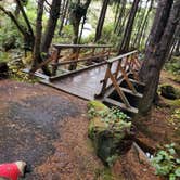 Review photo of Kalaloch Campground - group — Olympic National Park by Randell C., October 24, 2021