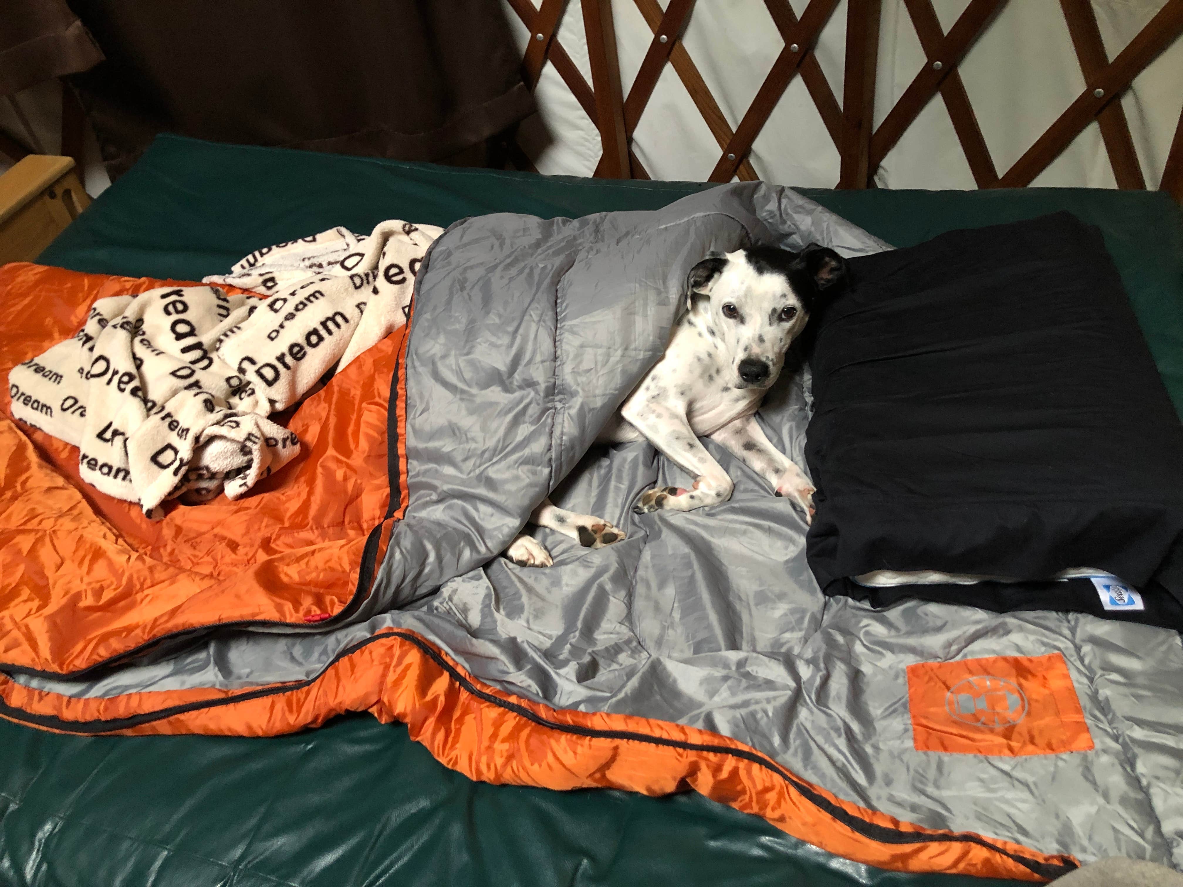 brent's photo of glamping accommodations at Cape Lookout State Park Campground near Nehalem, OR