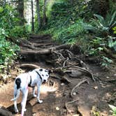 Review photo of Cape Lookout State Park Campground by brent , October 24, 2021