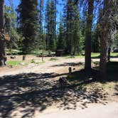 Review photo of Mazama Village Campground — Crater Lake National Park by Celina M., June 28, 2018