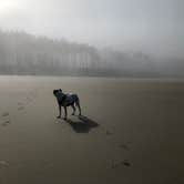 Review photo of Cape Lookout State Park Campground by brent , October 24, 2021