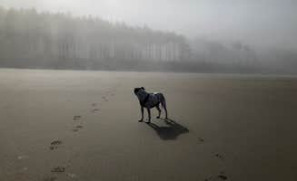 brent's photo of camping with pets at Cape Lookout State Park Campground near Lincoln City, OR
