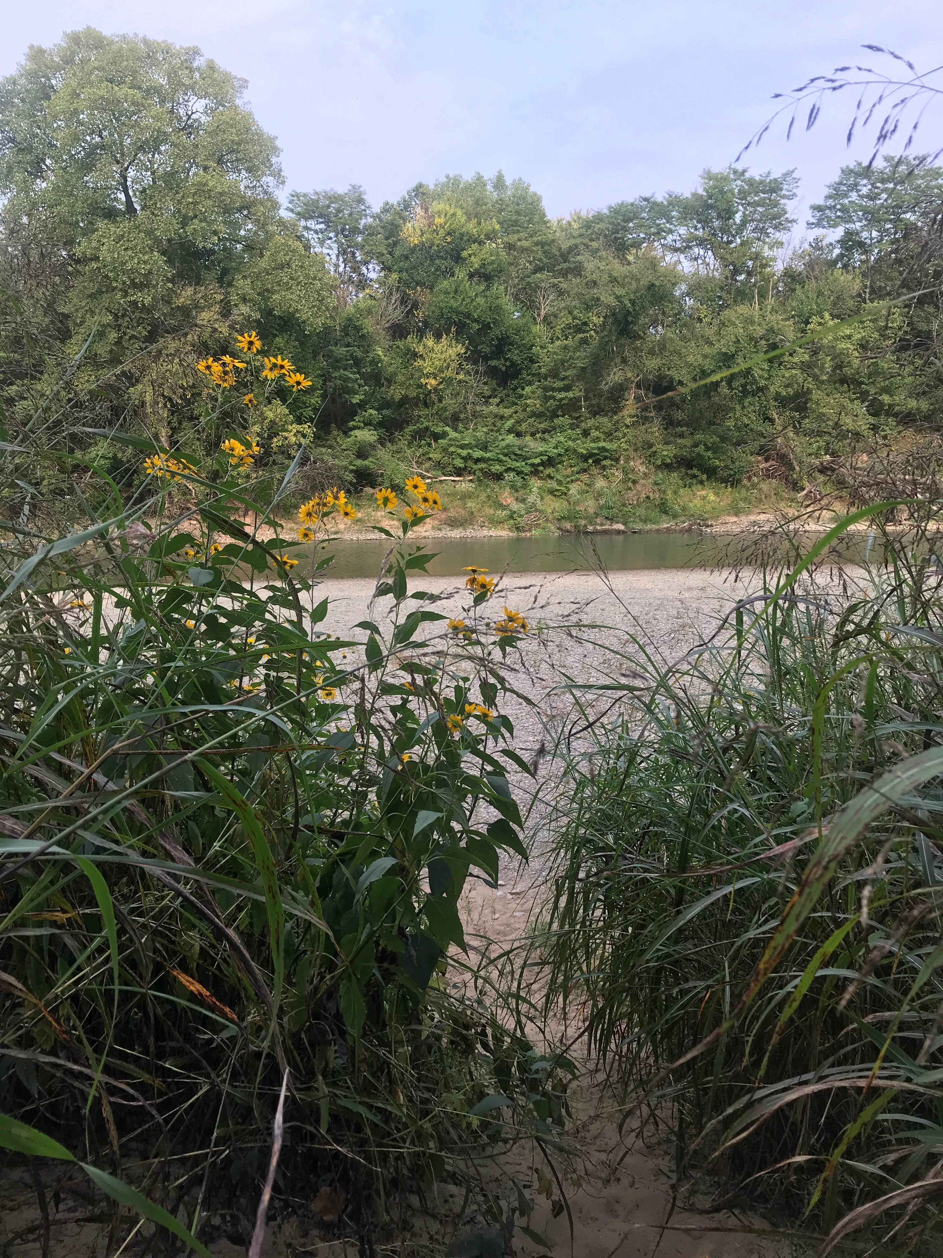 Camper submitted image from Morgan’s Outdoor Adventures - 4