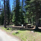 Review photo of Mazama Village Campground — Crater Lake National Park by Celina M., June 28, 2018