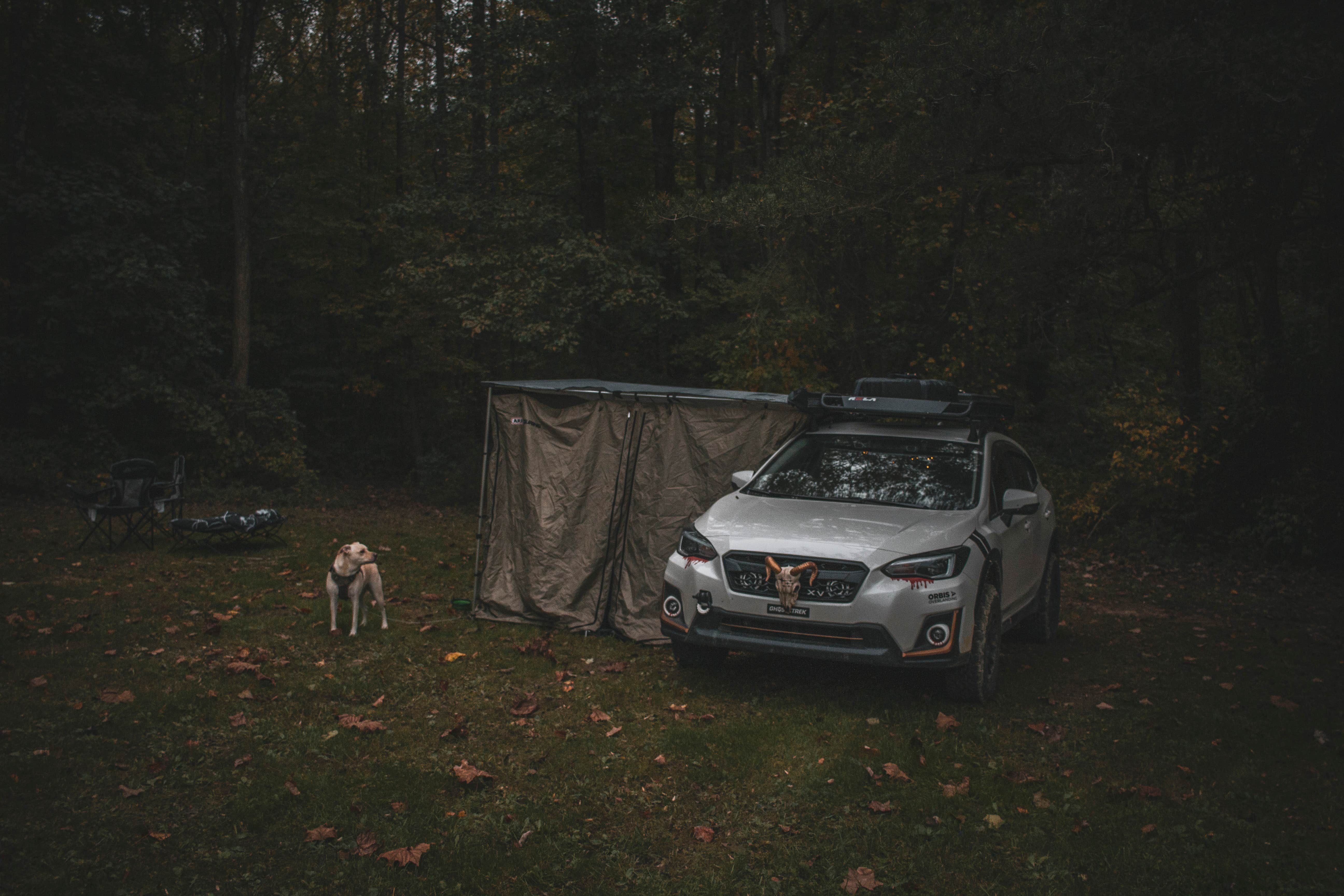 Camper-submitted photo at Muscatatuck near Hartsville, IN