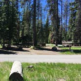 Review photo of Mazama Village Campground — Crater Lake National Park by Celina M., June 28, 2018