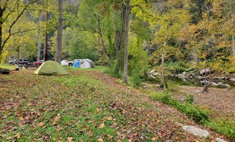 Camping near Cranesnest Campground (VA): Thunder River Campground, Haysi, Kentucky