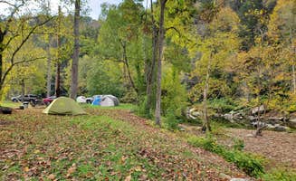 Laura E.'s photo at Thunder River Campground near John W. Flannagan Dam and Reservoir