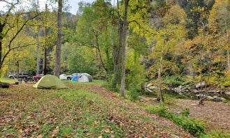 Camping near Backwoods Camping & RV Park: Thunder River Campground, Haysi, Kentucky