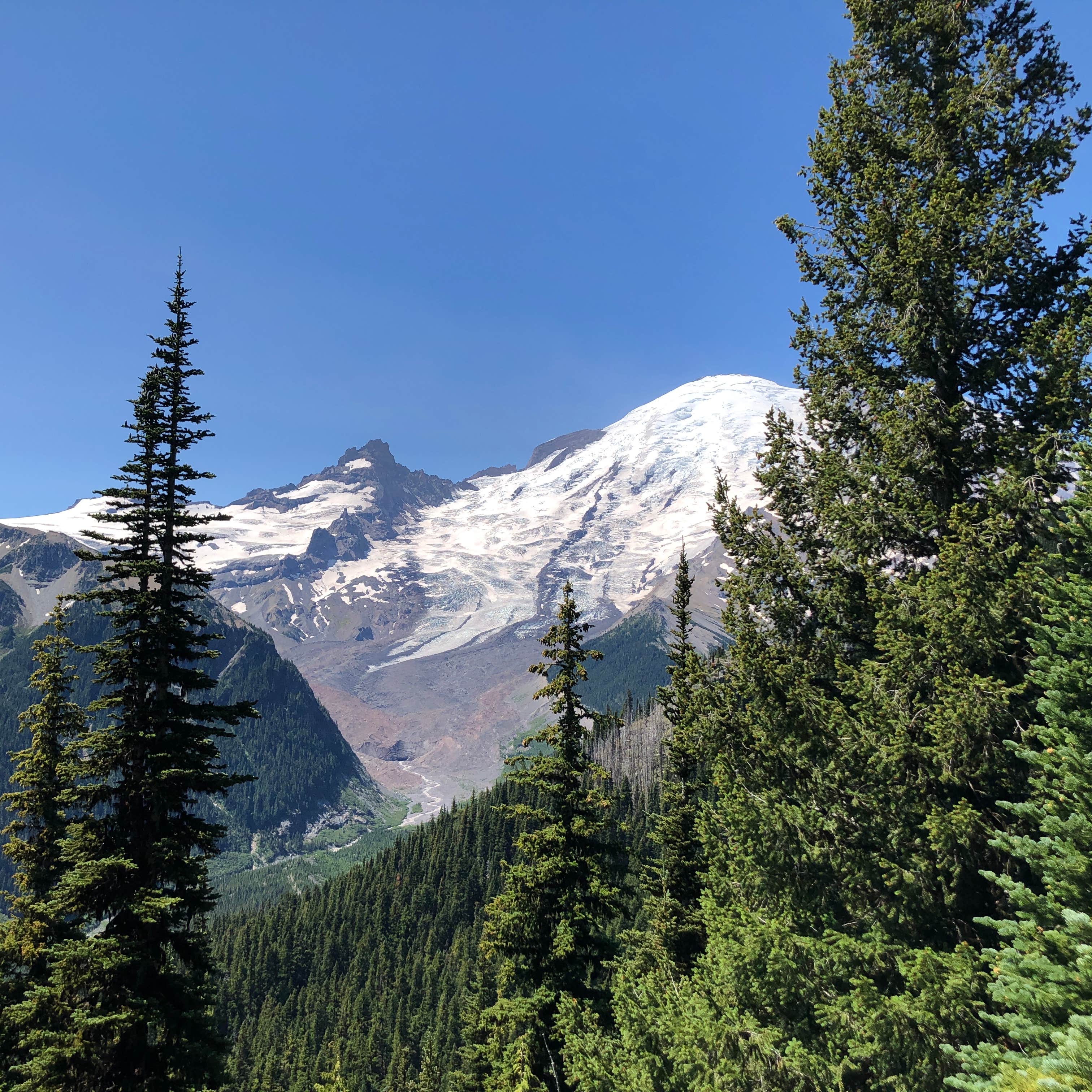 White River Campground — Mount Rainier National Park