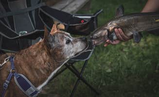 Jennifer K.'s photo of camping with pets at Big Fish-n-Camp Ground near Crawfordsville, IN