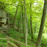 Review photo of Turkey Run State Park Campground by Mike V., July 23, 2016