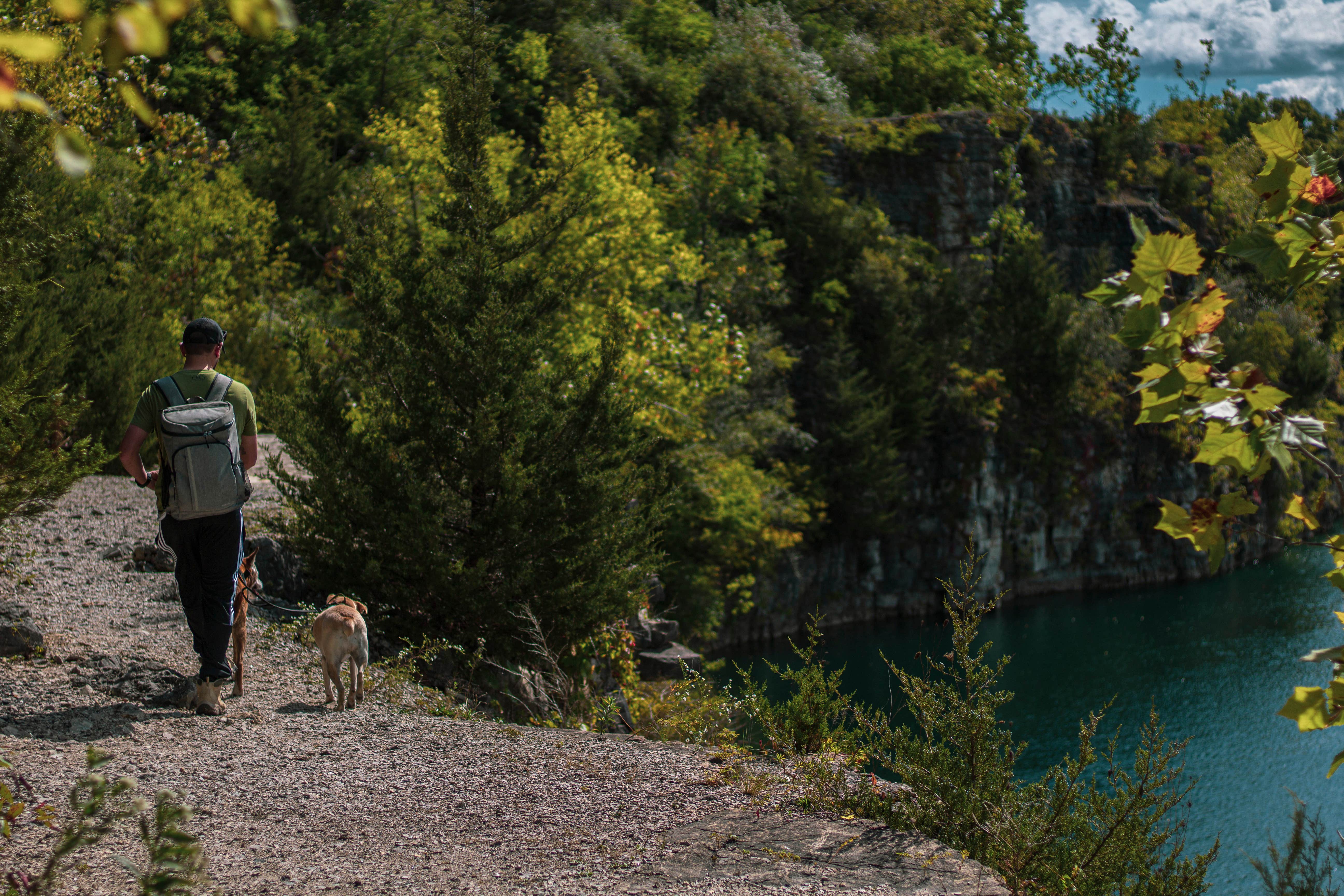 Jennifer K.'s photo of camping with pets at France Park near Monticello, IN
