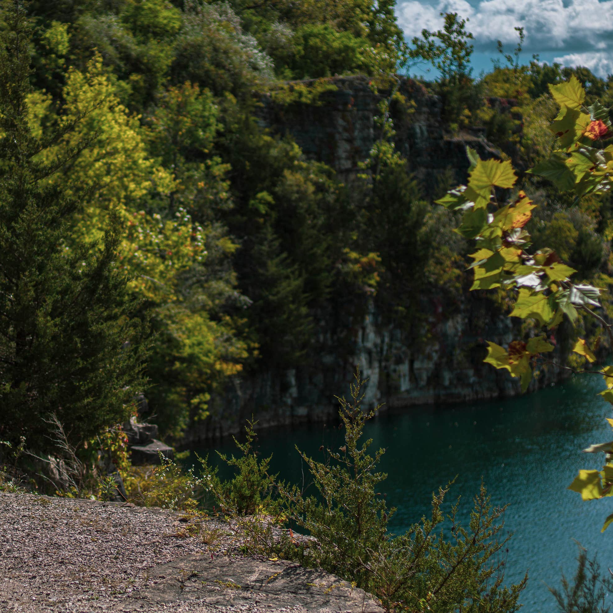 France Park Camping | Logansport, IN