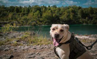 Jennifer K.'s photo of camping with pets at France Park near Cutler, IN