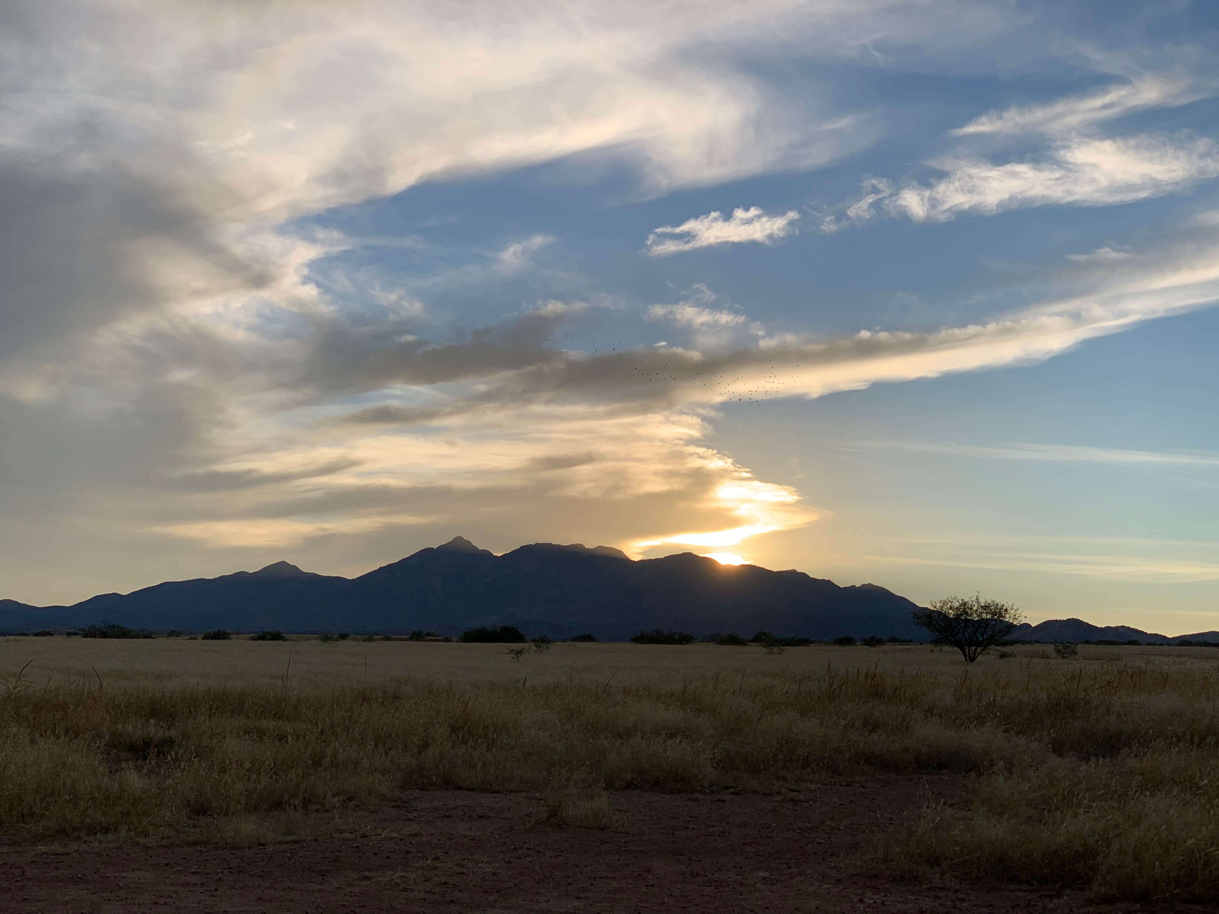 Heather K.'s photo of a dispersed camping area at Maternity Well Dispersed Campsite near Fort Huachuca, AZ